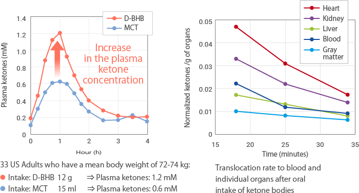 The behavior of blood ketones after oral intake