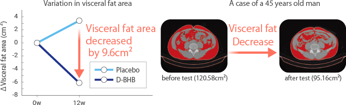 Visceral fat area decreased by 9.6cm²、A case of a 45 years old man,before test (120.58cm²)→after test (95.16cm²)