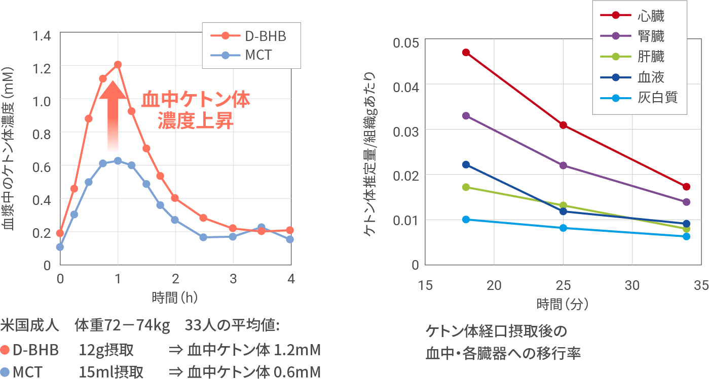 経口摂取後の血中ケトン体挙動