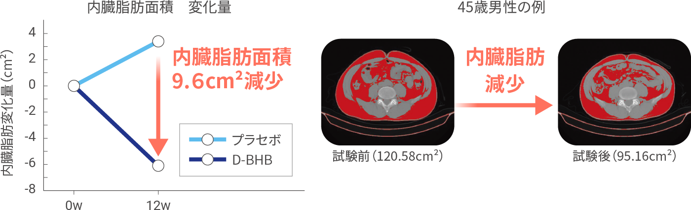 内臓脂肪面積9.6cm²減少、45歳男性の例、試験前120.58cm²→試験後95.16cm²