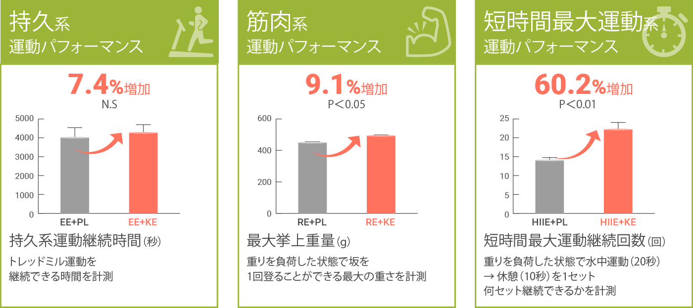 持久系運パフォーマンス7/4%増加、筋肉系運動パフォーマンス9.1%増加、短時間最大運動系運動パフォーマンス60.2%増加